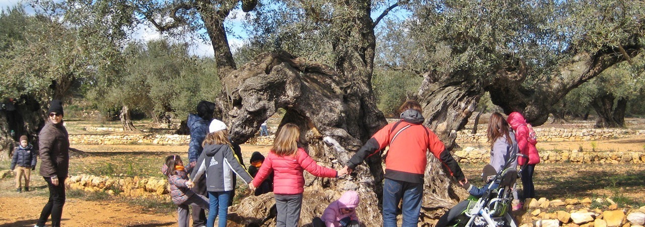 ecoturismo-tierra-de-renacimiento